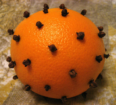 Natural Ways to Keep Bugs Away