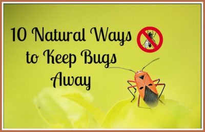 Natural Ways to Keep Bugs Away