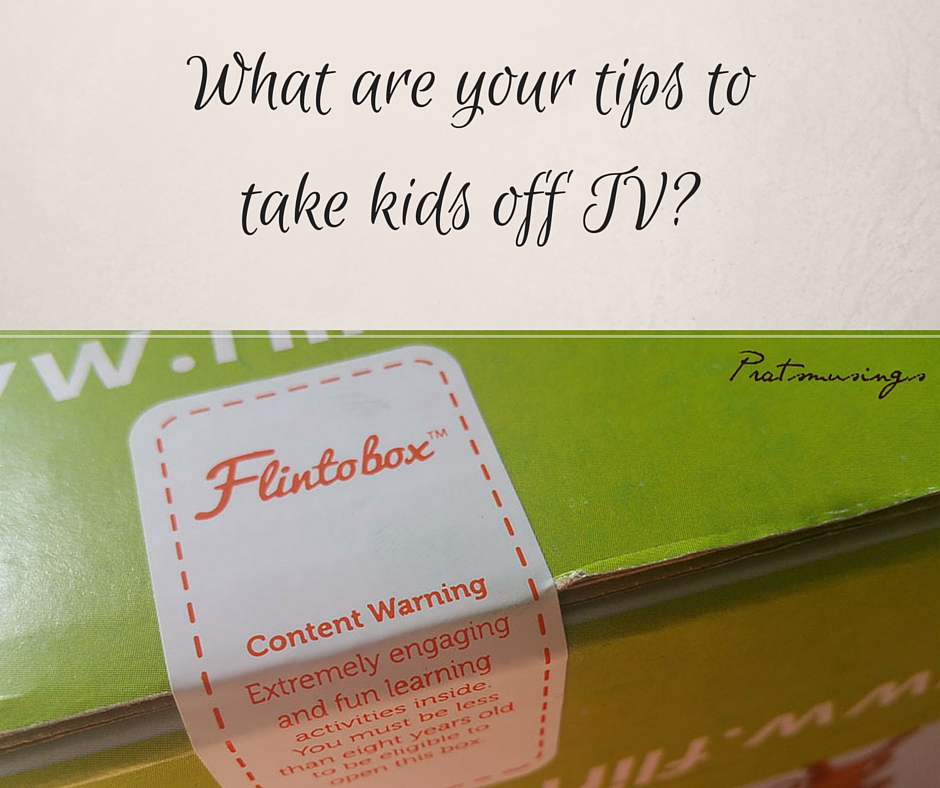 Flintobox Review