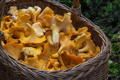 7 superfoods for kids