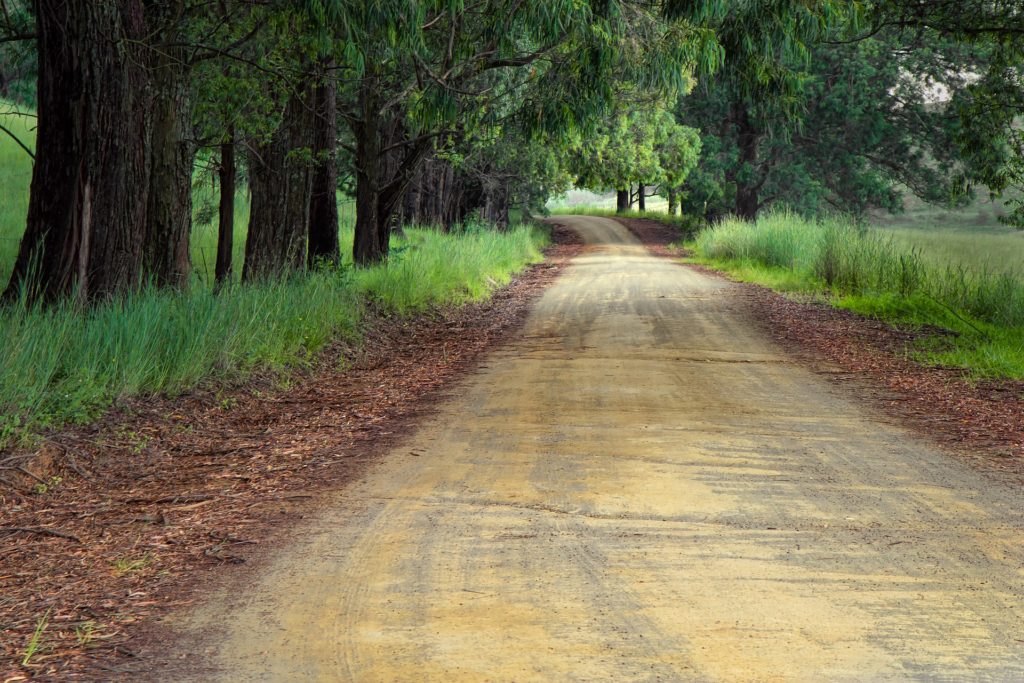 ways to choose happiness now