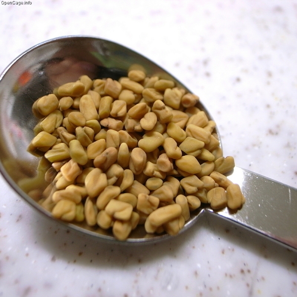 health benefits of fenugreek seeds