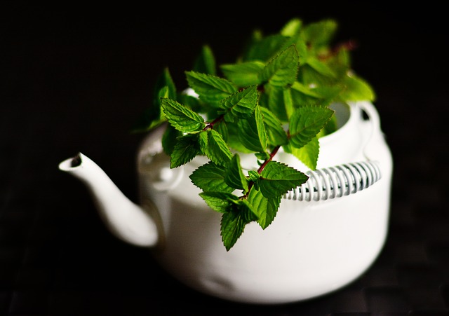 Ways to keep Bugs Away from your Home