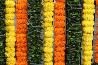 Ways to Celebrate an Eco-Friendly Ganesh Chathurthi