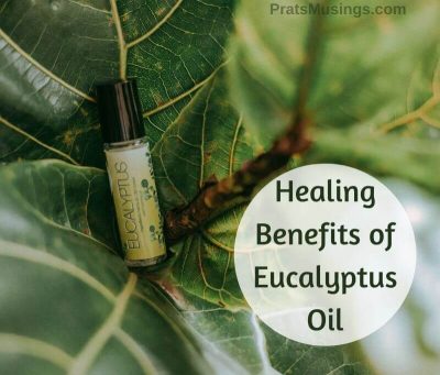 healing benefits of eucalyptus oil