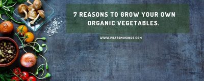 reasons to grow your own organic vegetables
