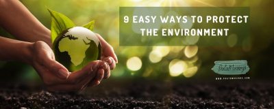 easy ways to protect the environment